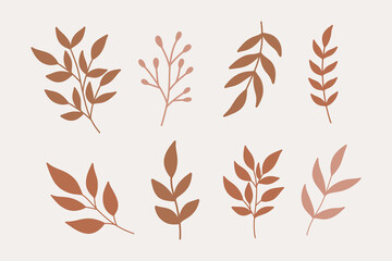 Set of modern floral elements.Flower and green leaves.Hand draw botanical.