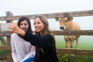 Two female friends taking a selfie with a cow separated by a fence © kikearnaiz