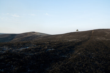 burning empty grassy field at early spring