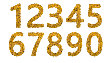 数字、銀杏の葉、テキスト、PNG