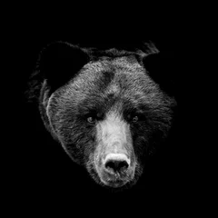 Gordijnen Close bear portrait on black background © byrdyak