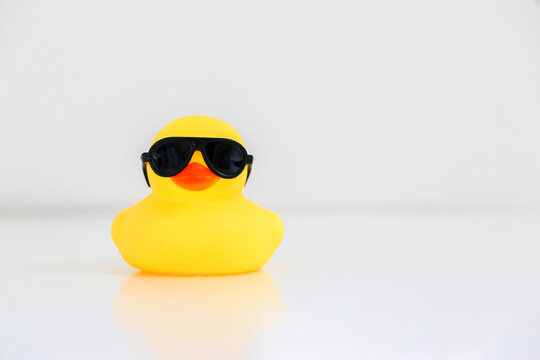 Cool little yellow rubber duck wearing black sunglasses, copy space on the right. Be smart, be cool concept.