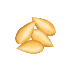Sesame seed. Sunflower kernel.  Group. Illustration 