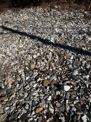 Grey and Brown Jagged Gravel Texture Path on the Ground with Light and Shaded Line of Electric Telephone Pole and Cable through the middle and dry grass in the background