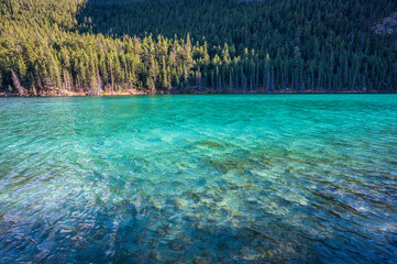 Turquoise water in a mountain forest lake with pine trees in Jasper