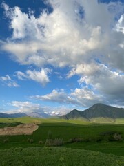 Fototapeta premium Nature 