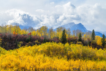 autumn in the mountains of Canadian Rockies