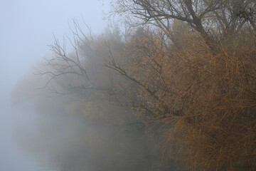 Autumn mist on the River