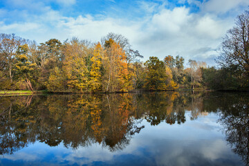Fototapeta na wymiar Vondelpark autumn trees and water background
