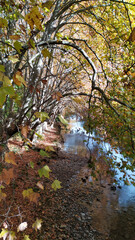 Río Arga de Pamplona con árboles y hojas caidas