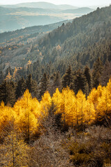 Parc du pilat en France à l'automne