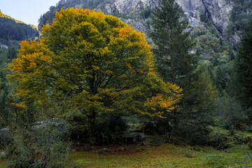 A clear autumn day in Mello's and Masino's Valley, Lombardy northern Italy Alps