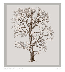 Poster with tree in vintage style