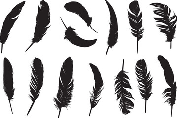 Feather bird animal clip art silhouette