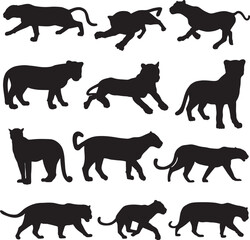 Obraz premium jaguar animal silhouette