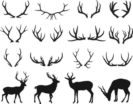 Deer Antlers Clipart Images – Browse 9,411 Stock Photos, Vectors