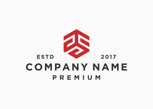 letter st hexagon logo design vector illustration template