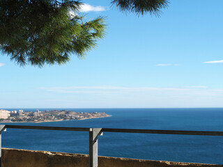 Mediterranean pine branches against the backdrop of a seascape