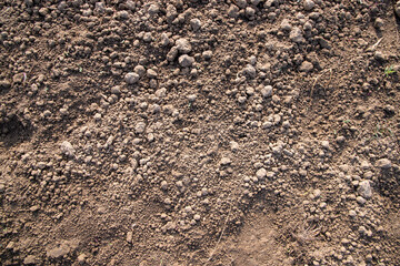 Brown crushed soil peat field texture may be used as a  background wallpaper