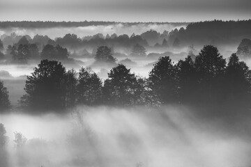 Fototapeta premium Morning Fog Illuminated By Sun Covers Plain Landscape. Black And White Retro Bw Black White. Aerial View Amazing Misty Plain Landscape. Mysterious Morning Time. Enchanted Morning Sun Shines On Plain.