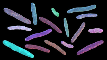 Bacteria Mycobacterium tuberculosis, the causative agent of tuberculosis