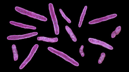 Bacteria Mycobacterium bovis, illustration
