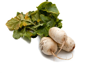 Turnips isolated on white background. The turnip (Brassica rapa rapa), also called cabbage, white radish, is an edible plant grown mainly in temperate climates, as livestock feed and human consumption