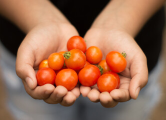 hands holding cherry tomatoes