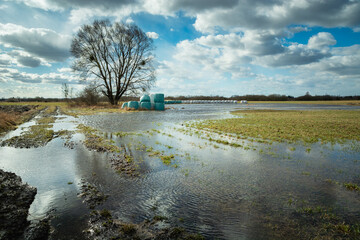 A flooded meadow after melting snow, a large tree and a clear sky