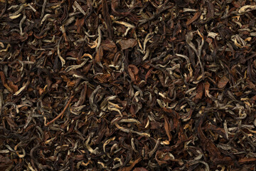 Phuguri Darjeeling Tea dried tea leaves close up full frame as background