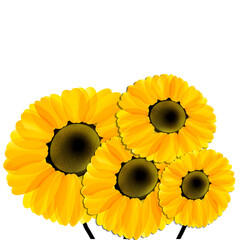 3D gemalte Sonnenblumen