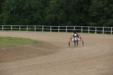 Horse and rider running at horse races