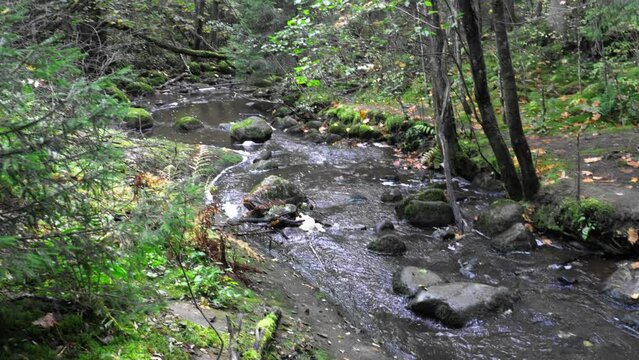 Sipoonkorpi national park recreation area in the summer.