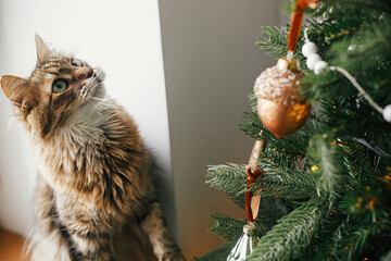 Merry Christmas! Cute cat looking at stylish christmas tree with vintage baubles. Pet and winter holidays. Adorable tabby cat sitting on wooden window sill near decorated tree in festive room