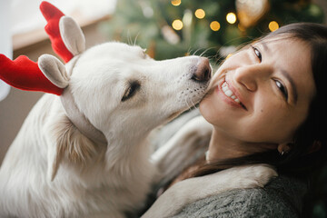 Merry Christmas! Cute dog in reindeer antlers playing with owner at stylish christmas tree. Pet and...