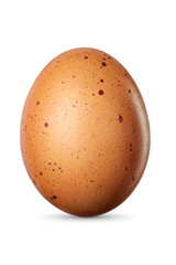One brown chicken egg isolated on white background.