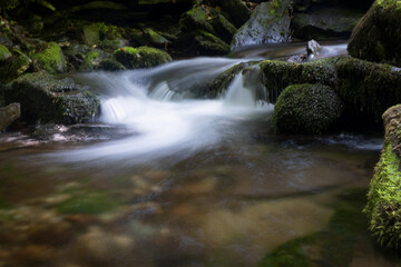 waterfall in the forest