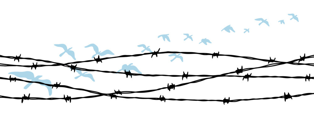 Flying birds behind barbed wire fence. Freedom concept. Hand drawn vector illustration