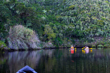 Obraz premium People in two canoes taking a leisurely paddle on a river in a natural park, with indigenous trees and shrubs on the water edge.