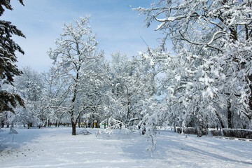 Winter view of South Park in city of Sofia, Bulgaria