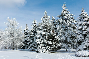 Winter view of South Park in city of Sofia, Bulgaria