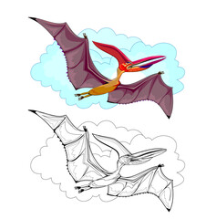Colorful and black and white page for coloring book. Illustration of flying pterodactyl. Printable worksheet for children exercise book. Online education. Clip-art cartoon vector. Animals for kids. © nataljacernecka
