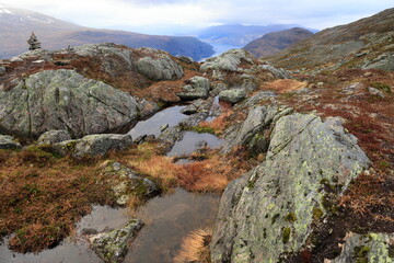 Steine und Pfützen auf dem Skredfjelled bei Loen in Norwegen