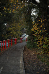 walking path, red fence, yellow and green leaves in autumn