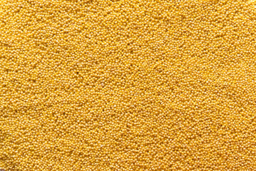 Yellow millet background. Top view	