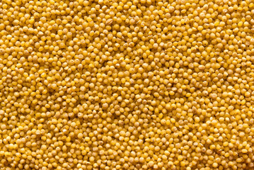 Yellow millet background. Top view	