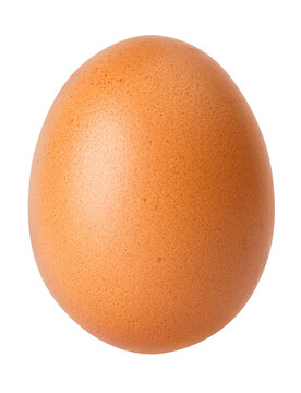 Brown egg isolated png