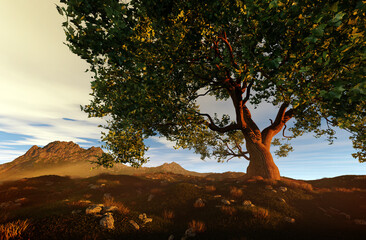 Fototapety na wymiar - Fototapeta24.pl