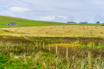 Fields and haystacks, in Marwick Head