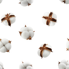 Cotton flower isolated on white background, SEAMLESS, PATTERN